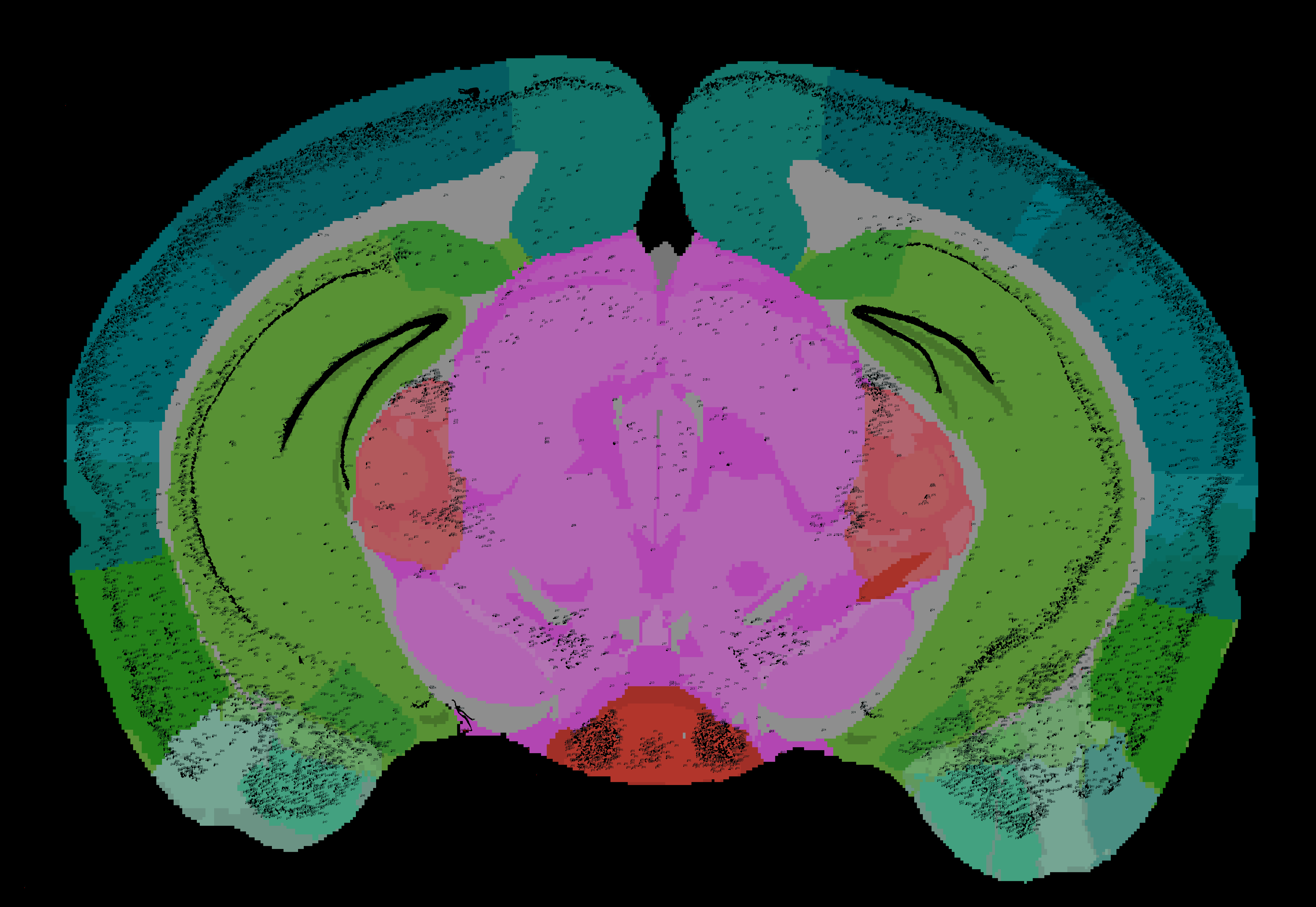 0209_71661877_resize_Simple Segmentation.png