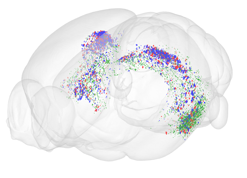 QUINTpoint cloud.png